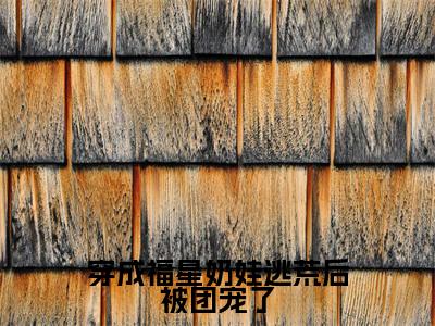 穿成福星奶娃逃荒后被团宠了(田果果)全文免费阅读无弹窗大结局_穿成福星奶娃逃荒后被团宠了免费最新章节列表_笔趣阁