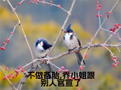 不做备胎,乔小姐跟别人官宣了小说（乔杉江昱珩）全文免费阅读无弹窗大结局_（不做备胎,乔小姐跟别人官宣了）乔杉江昱珩小说免费阅读最新章节列表