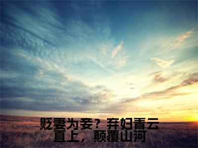 （辛元元）全文免费阅读贬妻为妾？弃妇青云直上，颠覆山河言情小说讲的是什么