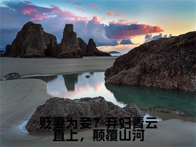 贬妻为妾？弃妇青云直上，颠覆山河正版小说全文阅读辛元元无删减版