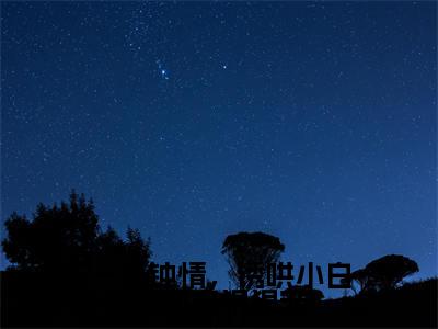 (一见钟情,诱哄小白兔回家狠狠宠)全文免费阅读-一见钟情,诱哄小白兔回家狠狠宠(周池礼周时微)最新章节列表阅读