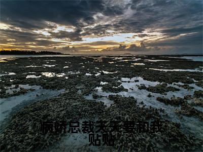 程墨宁千夜免费阅读(病娇总裁天天要和我贴贴)全文免费阅读无弹窗大结局_程墨宁千夜免费阅读最新章节列表