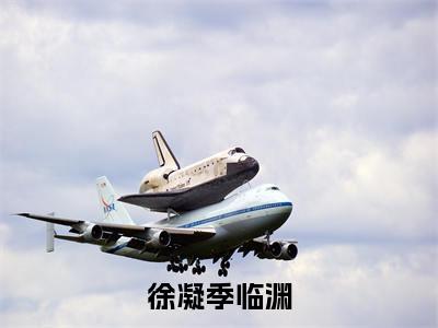 徐凝季临渊(徐凝季临渊)全文免费阅读无弹窗大结局_徐凝季临渊最新章节列表_笔趣阁(徐凝季临渊)