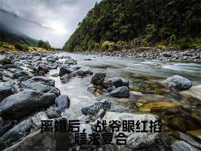 姜乔战墨沉小说全文免费阅读大结局-离婚后，战爷眼红掐腰求复合最新章节列表免费阅读