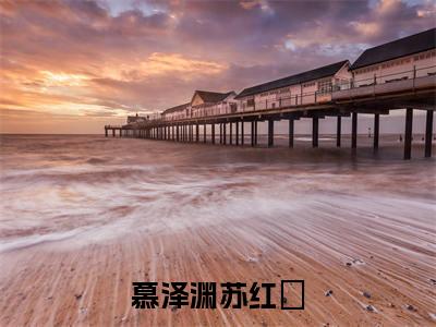 慕泽渊苏红葉(苏红葉慕泽渊)最新免费阅读-慕泽渊苏红葉小说在线阅读