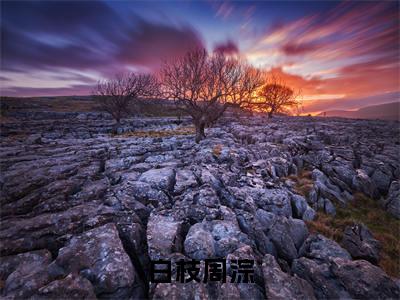 白枝周淙全文免费阅读大结局-(周淙白枝)最新章节列表在线阅读