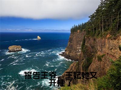 江月言卿翰(报告王爷,王妃她又开挂了)全文免费阅读无弹窗_江月言卿翰最新小说_笔趣阁(报告王爷,王妃她又开挂了)
