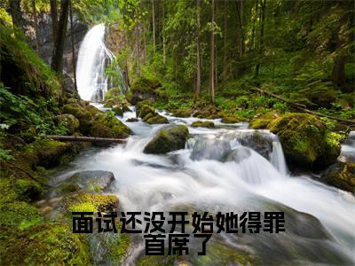 面试还没开始她得罪首席了免费阅读无弹窗，小说顾何涂安大结局全文免费阅读