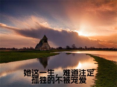 她这一生，难道注定孤独的不被宠爱（陆城霄顾好好）全文免费阅读_她这一生，难道注定孤独的不被宠爱言诺诺，井傅宸小说最新章节列表笔趣阁