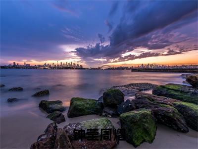 热门小说周熠钟莹全文免费阅读无弹窗大结局-钟莹周熠全文无弹窗免费阅读大结局