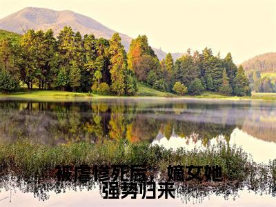 容羲姜绾绾(被虐惨死后,嫡女她强势归来)全文免费阅读无弹窗大结局_(容羲姜绾绾)最新章节列表_笔趣阁(被虐惨死后,嫡女她强势归来)