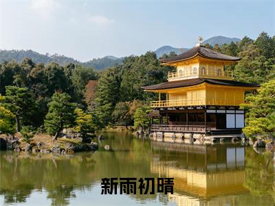 苏晴顾北(新雨初晴)全文免费阅读无弹窗大结局_苏晴顾北小说精彩免费试读