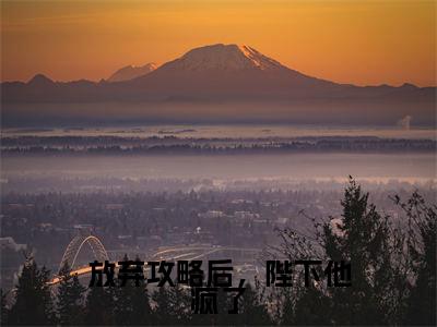 顾路寒林青栀小说-放弃攻略后,陛下他疯了最新章节全文阅读