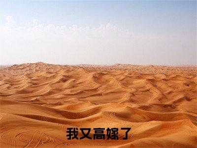 我又高嫁了小说(宋薇全文完整版免费阅读)_我又高嫁了小说免费最新章节列表_笔趣阁