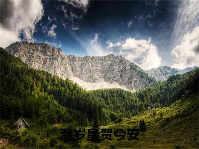 温岁星贺今安(贺今安温岁星)全文无删减版在线阅读_温岁星贺今安全文免费阅读最新章节列表_笔趣阁