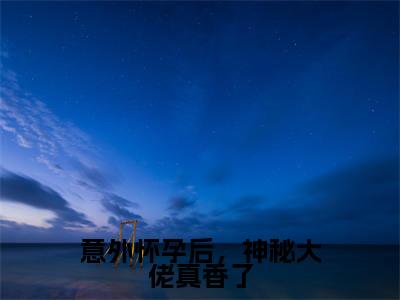 棠宁陆司城小说在线阅读全文无弹窗大结局_意外怀孕后,神秘大佬真香了小说免费最新章节列表(全文)+(后续)