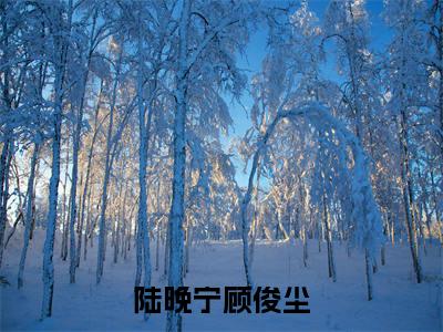 陆晚宁顾俊尘(顾俊尘陆晚宁)全文免费阅读无弹窗大结局_陆晚宁顾俊尘(陆晚宁顾俊尘)免费在线阅读最新章节列表笔趣阁