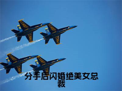 叶枫抖音新书热荐-分手后闪婚绝美女总裁全文在线赏析(叶枫)