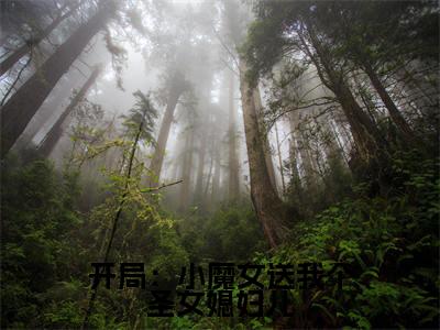 楚天沐卿小说全文免费阅读_（楚天沐卿）开局：小魔女送我个圣女媳妇儿小说最新章节列表笔趣阁