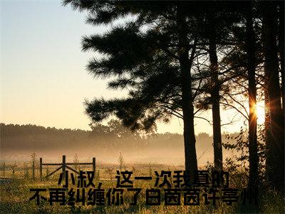 小叔,这一次我真的不再纠缠你了白茵茵许亭州(白茵茵许亭州)全文免费阅读无弹窗_小叔,这一次我真的不再纠缠你了白茵茵许亭州(白茵茵许亭州)全文阅读-笔趣阁