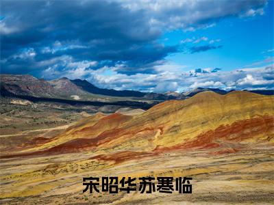 苏寒临宋昭华(宋昭华苏寒临)全文免费阅读无弹窗大结局_(宋昭华苏寒临小说免费阅读)_笔趣阁