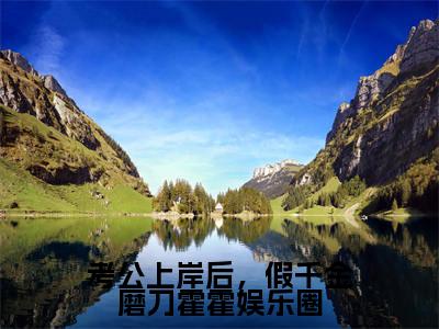 考公上岸后,假千金磨刀霍霍娱乐圈免费阅读无弹窗大结局-沈清陆野(最新全章节大结局)全文阅读