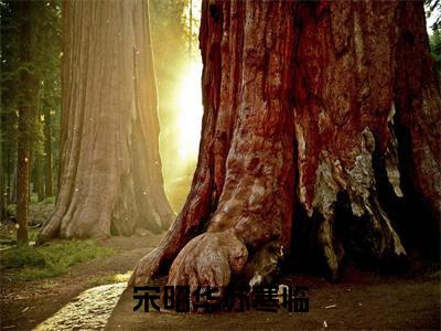 宋昭华苏寒临全文免费阅读无弹窗大结局_(宋昭华苏寒临)苏寒临宋昭华最新章节列表_笔趣阁