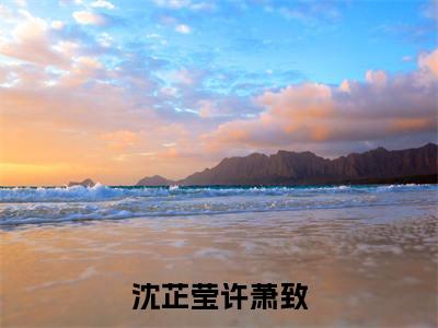 沈芷莹许萧致：许萧致沈芷莹全文免费阅读无弹窗大结局_（沈芷莹许萧致）许萧致沈芷莹最新章节列表笔趣阁