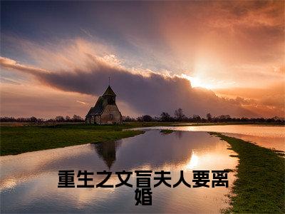 主角为唐小满陈厉风的小说-重生之文盲夫人要离婚(唐小满陈厉风)全文完整版阅读