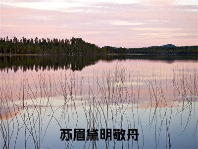 (苏眉黛明敬舟)最新免费小说大结局-小说苏眉黛明敬舟苏眉黛明敬舟全文免费在线阅读