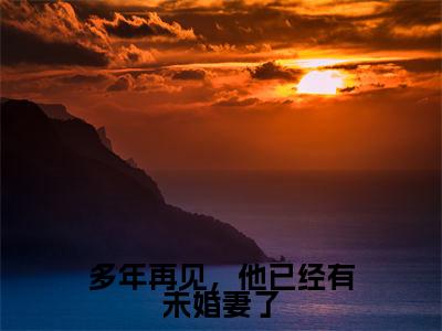 多年再见,他已经有未婚妻了免费阅读(宋星岁周京臣)完整版全文全章节阅读