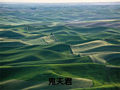 鬼夫君小说（姜艳妮昙叶）全文免费阅读_（姜艳妮昙叶）鬼夫君小说最新章节列表