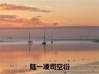 陆一凌司空衍(陆一凌司空衍)小说结局-陆一凌司空衍全文无弹窗阅读