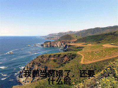 (我都当赘婿了,还要什么脸)小说全文免费阅读无弹窗大结局_江逸风我都当赘婿了,还要什么脸最新章节列表笔趣阁