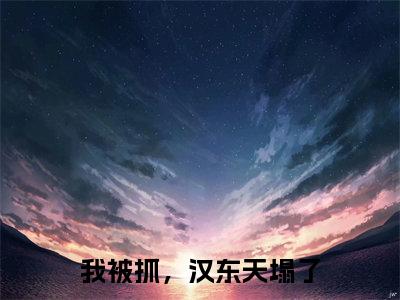 【热门】《我被抓,汉东天塌了》书名是江舟全文免费阅读已完结