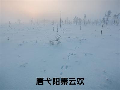 秦云欢唐弋阳(秦云欢唐弋阳)全文免费阅读无弹窗_唐弋阳秦云欢小说在线阅读_笔趣阁
