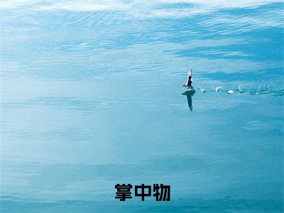 林书意周回(林书意周回)全文免费阅读无弹窗_掌中物小说免费阅读_笔趣阁