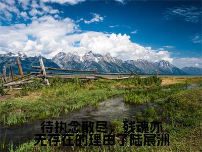 新书热荐待执念散尽,残魂亦无存在的理由了陆宸洲全文免费阅读无弹窗大结局-小说陆宸洲黎沐晚全文完整版免费阅读
