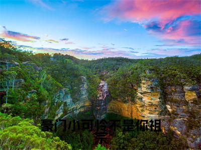 林桑玖沈之年(豪门小可怜不是你祖宗)最新热门小说榜单推荐-林桑玖沈之年最新章节免费阅读