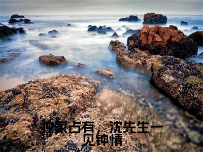 独家占有,沈先生一见钟情小说大结局完整版阅读,沈越泽祁晴小说全文在线阅读