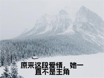 原来这段爱情,她一直不是主角全文免费阅读无弹窗大结局_(原来这段爱情,她一直不是主角小说)苏晚意穆辞年在线免费阅读