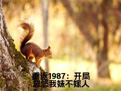 楚天（重返1987：开局忽悠我妹不嫁人）全文免费阅读无弹窗大结局_楚天免费阅读无弹窗最新章节列表_笔趣阁