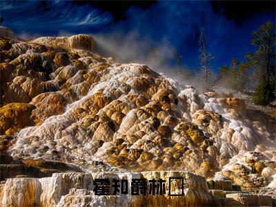 林玥霍知爵小说霍知爵林玥全文免费阅读无弹窗-正版小说林玥霍知爵全文阅读（后续+免费）