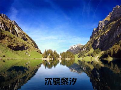 黎汐沈骁(沈骁黎汐)免费小说全文完整版-沈骁黎汐最新章节完整版阅读