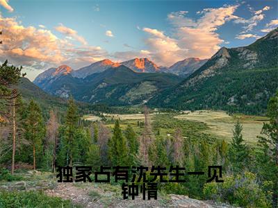 热门小说沈越泽祁晴全文免费阅读无弹窗大结局-独家占有沈先生一见钟情全文无弹窗免费阅读大结局