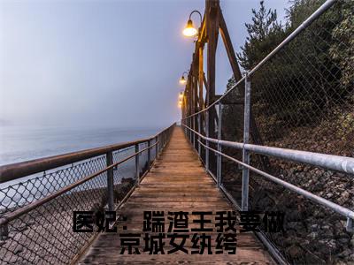 修落然易靖玄小说（医妃：踹渣王我要做京城女纨绔）无弹窗大结局-医妃：踹渣王我要做京城女纨绔（修落然易靖玄）完整版免费阅读