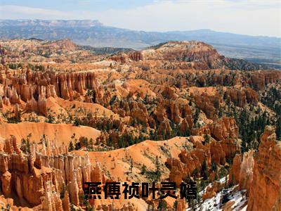 燕傅祯叶灵嫣(燕傅祯叶灵嫣)免费阅读无弹窗大结局-燕傅祯叶灵嫣完整版最新阅读