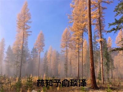 林知予俞琰泽小说（林知予俞琰泽）全文免费阅读无弹窗大结局_林知予俞琰泽（林知予俞琰泽）最新章节列表