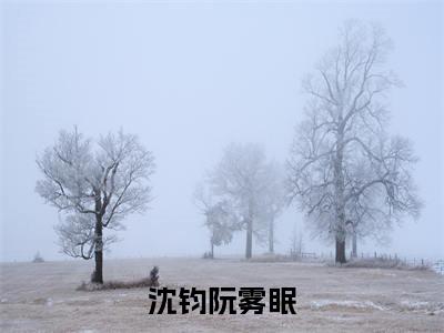 沈钧阮雾眠免费阅读无弹窗最新章节列表-(阮雾眠沈钧)全文免费阅读大结局笔趣阁(阮雾眠沈钧)