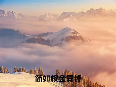 简如桉金霖锋免费版最新更新阅读-简如桉金霖锋小说全文在线阅读